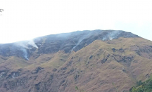 Bukit di Kaki Gunung Rinjani Terbakar, Ini Kondisinya - GenPI.co