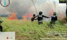 Waduh! Taman Nasional Way Kambas Kebakaran, Ini Kondisinya - GenPI.co