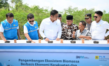 Kembangkan Bahan Co-Firing Biomassa, PLN-Kementan Luncurkan Model Pertanian Terpadu - GenPI.co