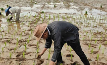 Bertani Seusai Dinyatakan Menang Pilkada Jabar, Dedi Mulyadi: Sudah Kebiasaan - GenPI.co