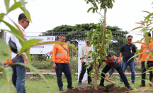 Dari Tabebuya hingga Mangga, Daop 6 Yogyakarta Tanam Pohon di 8 Stasiun - GenPI.co