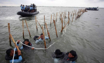 Menteri KP: Pemilik Pagar Laut di Tangerang Disanksi Denda - GenPI.co