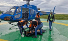 2 Pendaki Wanita Meninggal, Pendakian ke Puncak Carstensz Pyramid Ditutup Sementara - GenPI.co
