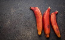 Pisang Merah Jadi Pilihan Cerdas untuk Mendapatkan Asupan Nutrisi Alami - GenPI.co