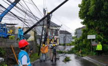 Listrik di Bali Padam Total, PLN Minta Maaf - GenPI.co