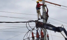 Listrik di Bali Padam, PLN Sebut Ada Gangguan di PLTU Celukan Bawang - GenPI.co