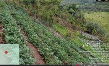 Seusai Temuan Ganja, Tim TNKS Sisir Kawasan Sekitar Gunung Kerinci - GenPI.co