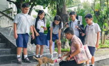 Hanya Bikin Beban, Pramono Anung Diminta Hentikan Wacana Pulau Kucing - GenPI.co