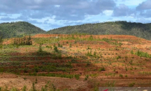 Disebut Rusak Lingkungan, ESDM Justru Bilang Tambang di Pulau Gag Aman - GenPI.co
