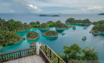 Ternyata Raja Ampat Punya 75 Persen Spesies Karang Dunia, Terancam Tambang Nikel - GenPI.co