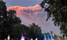 Pengungsi Erupsi Gunung Lewotobi Bertambah, BNPB Pastikan Fasilitas Dasar Tetap Aman - GenPI.co