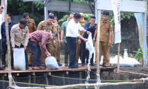 Sumsel Pelopor Inovasi Ketahanan Pangan, GSMP Terus Berkembang dan Ditiru Daerah Lain - GenPI.co
