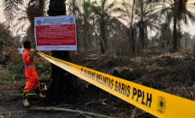 Karhutla Riau, 4 Perusahaan dan 1 Pabrik Sawit Disegel dan Dilarang Beroperasi - GenPI.co