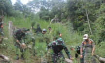 30.000 Tanaman Ganja Ditemukan di Mandailing Natal, Langsung Dimusnahkan - GenPI.co