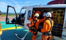 Helikopter PK-IWS Jatuh di Papua Tengah, Pilot dan 3 Penumpang Tewas - GenPI.co