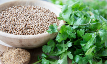 Daun Ketumbar Kaya Antioksidan, Bikin Masakan Lezat dan Tubuh Sehat - GenPI.co