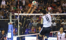 Menang Sempurna di Final Four Livoli 2025, Pelatih LavAni Belum Puas - GenPI.co