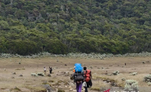 Pendakian Gunung Gede Pangrango Ditutup Mulai 13 Oktober, Aksi Bersih dan Evaluasi - GenPI.co