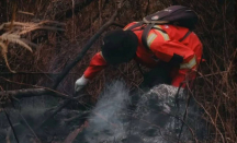 Karhutla Seluas 36 Hektare di Gunung Rinjani Berhasil Dipadamkan - GenPI.co