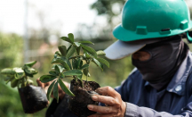 Eiger Adventure Land: Bukti Investasi Hijau Mengubah Konflik Agraria Jadi Ekowisata - GenPI.co