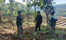 Dukung Agroforestry, PLN Gerakkan Petani Sumedang Rehabilitasi Lahan Kritis - GenPI.co