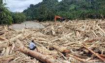 KLH Janji Tindak Tegas Perusahaan Pemicu Bencana di Sumatra - GenPI.co