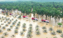 Kemensos Tembus Jalur Darat Laut dan Udara Salurkan Bantuan ke Aceh Tamiang - GenPI.co