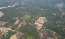 KLH Ungkap Kerusakan Hulu DAS Aceh Melebar, Hutan Diserobot Sawit & Tambang Ilegal - GenPI.co