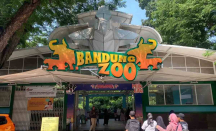 Stok Pakan Menipis, Bandung Zoo Ogah Dibantu Kemenhut - GenPI.co