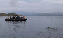 Kedubes Spanyol Minta Basarnas Lanjutkan Pencarian Pelatih Valencia - GenPI.co