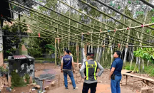 Resahkan Warga, Arena Judi Sabung Ayam di OKU Digerebek, Pelaku Kocar-Kacir - GenPI.co