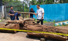Tebang Kayu di Kawasan Lindung Gunung Ciremai, 5 Orang Jadi Tersangka - GenPI.co