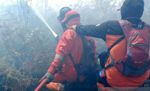 Kebakaran Lahan Meluas, Kabut Asap Mengancam Warga Aceh Barat - GenPI.co