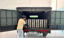 Heboh MBG di Bangkalan, Ada Ulat di Buah hingga Harga Menu Dipertanyakan - GenPI.co