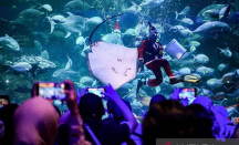 3 Wisata Akuarium untuk Liburan Keluarga, Dunia Air Tawar Bisa Jadi Pilihan - GenPI.co
