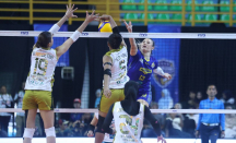 Jakarta Electric PLN Dibungkam Gresik Petrokimia, Alim Suseno: Banyak Blunder - GenPI.co