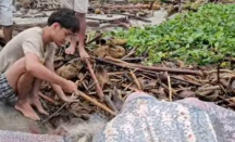 Viral! Pemuda Mentawai Selamatkan Penyu dari Buruan Warga, Ingatkan Dagingnya Beracun - GenPI.co