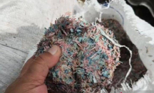 Kasus Cacahan Uang Rupiah di Bekasi, Polisi Pastikan Asli dan Milik Bank Indonesia - GenPI.co