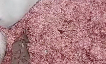 Viral Cacahan Uang Rupiah Dibuang di TPS Liar Bekasi, Ada Rp 100.000 dan Rp 50.000 - GenPI.co