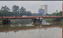 Sungai Cisadane Tercemar Limbah Pestisida 22,5 Km, KLH Uji Laboratorium - GenPI.co