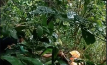 Pendaki Muda Gunung Ungaran Hipotermia, Alhamdulillah Bisa Diselamatkan - GenPI.co