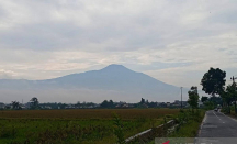 Aktivitas Gunung Slamet Meningkat, Radius Aman Diperluas 3 Km - GenPI.co