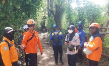 Penggembala Sapi Hilang di Taman Nasional Baluran, BPBD Sebut Medan Pencarian Sulit - GenPI.co