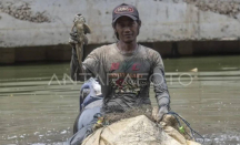 Operasi Penangkapan Ikan Sapu-Sapu Digelar Serentak di Jakarta, Demi Jaga Ekosistem - GenPI.co