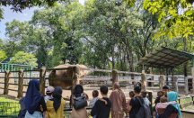 Warga Jakarta Masih Dominasi Pengunjung Taman Margasatwa Ragunan - GenPI.co