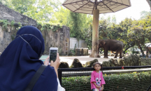 Ini Spot Favorit Pengunjung di Taman Margasatwa Ragunan - GenPI.co