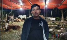 Wabah PMK Merebak, Penjual Hewan Kurban di Jaksel Tetap Cuan - GenPI.co
