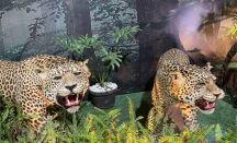 Ragunan Zoo Buka Stan Satwa Awetan di Lapangan Banteng - GenPI.co