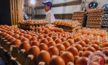 Manfaat Telur Rebus: Kesehatan Otak dan Turunkan Berat Badan - GenPI.co Bali
