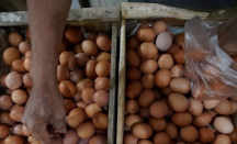 Harga Telur Naik, Disperindag Bali Sebut Biang Keroknya - GenPI.co Bali